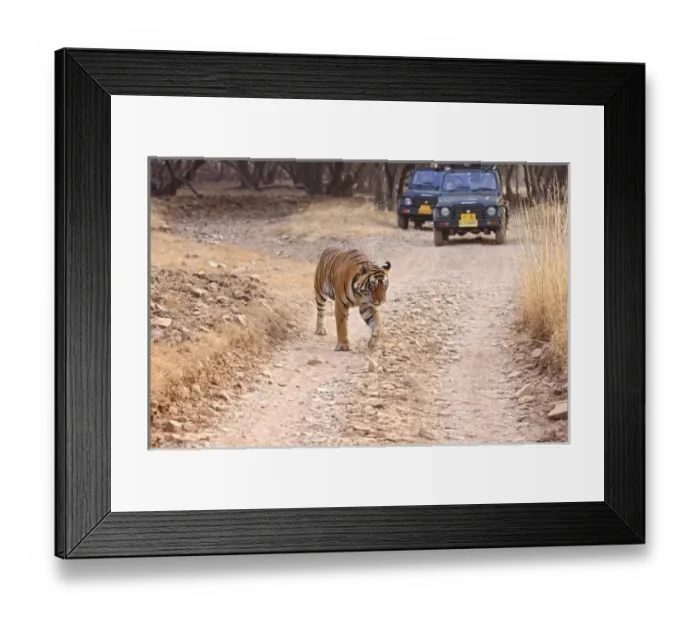Framed Print : Asia, India Framed Print : Asia, India