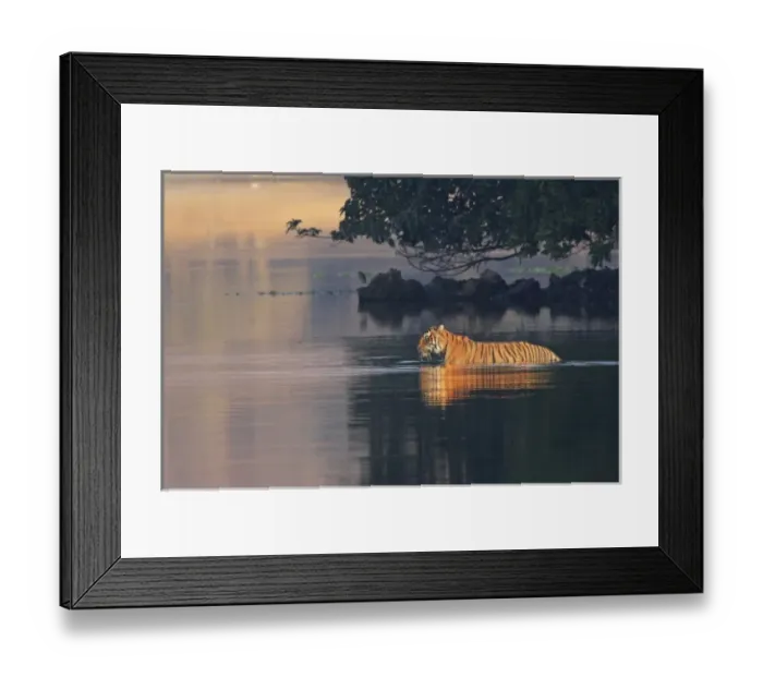 Framed Print : Asia, India Framed Print : Asia, India