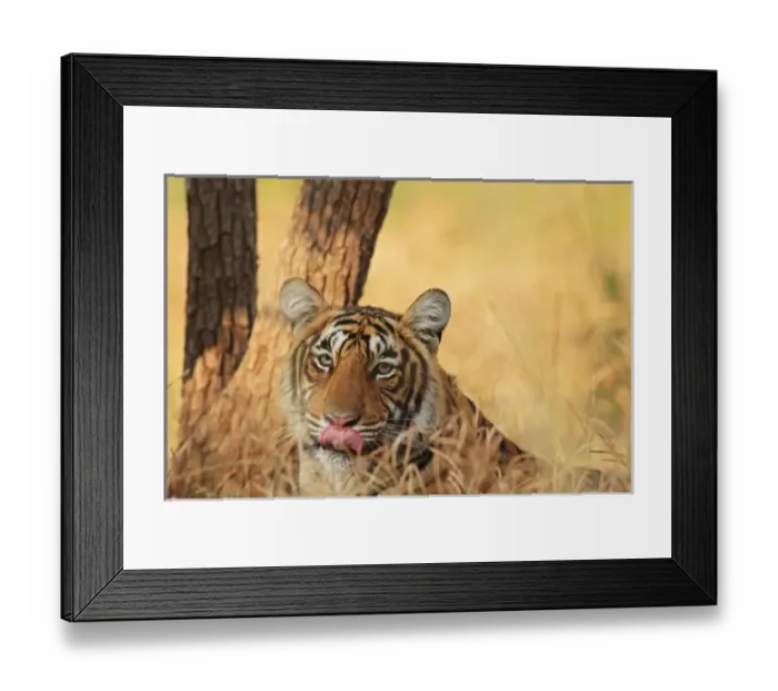 Framed Print : Asia, India Framed Print : Asia, India