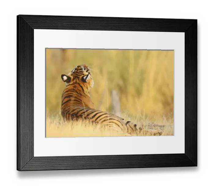 Framed Print : Asia, India Framed Print : Asia, India