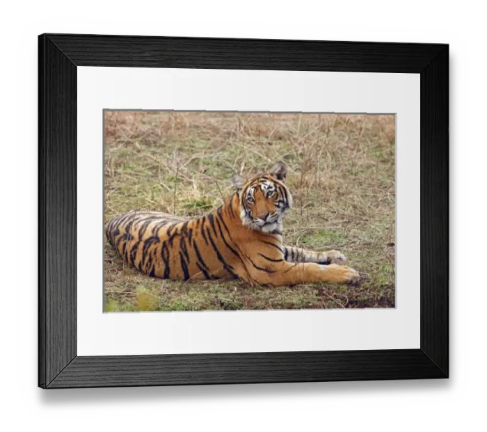 Framed Print : Asia, India