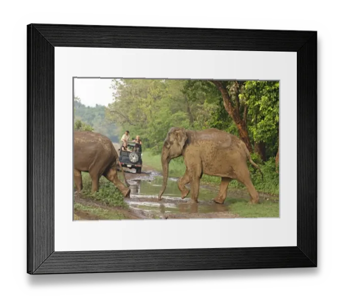 Framed Print : Asia, India Framed Print : Asia, India