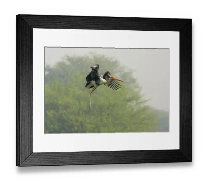 Framed Print : Asia, India