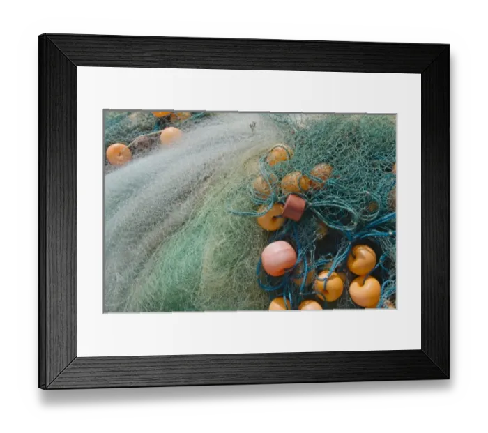 Framed Print : Fisherman harvesting fish on the beach, Goa, India Framed Print : Fisherman harvesting fish on the beach, Goa, India