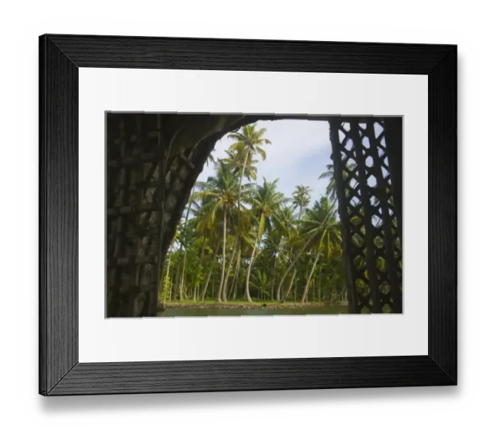 Framed Print : Houseboat on the backwaters of Kerala, India Framed Print : Houseboat on the backwaters of Kerala, India