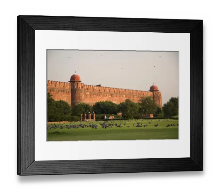 Framed Print : Asia, India Framed Print : Asia, India