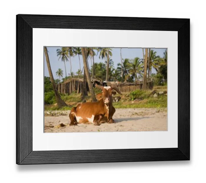 Framed Print : Asia, India Framed Print : Asia, India
