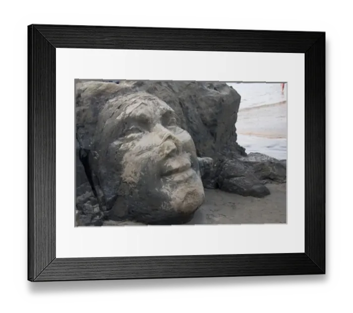 Framed Print : Asia, India