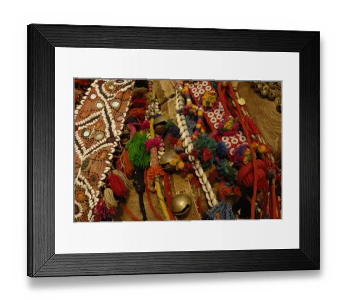 Framed Print : Decorated camel owned by Ashok Shivani Tak who is a keen collector of fine camel trappings