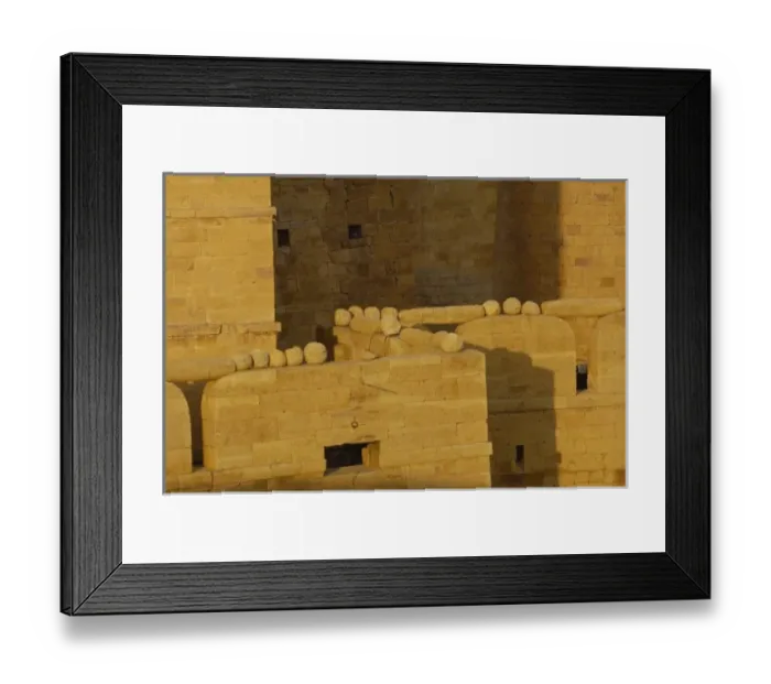Framed Print : Asia, India