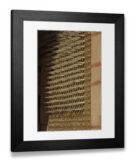 Framed Print : Asia, India Framed Print : Asia, India