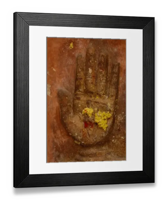 Framed Print : Junagarh Fort, Bikaner, Rajasthan, INDIA
