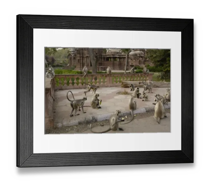 Framed Print : Asia, India Framed Print : Asia, India