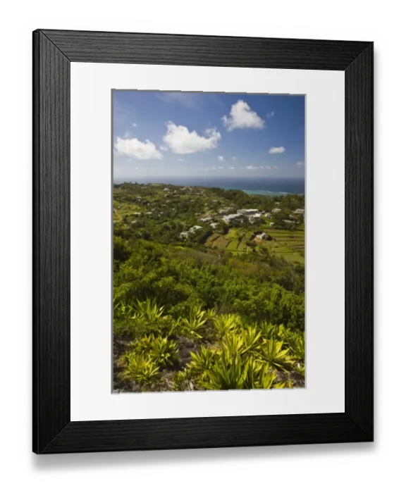 Framed Print : Africa, Mauritius Framed Print : Africa, Mauritius