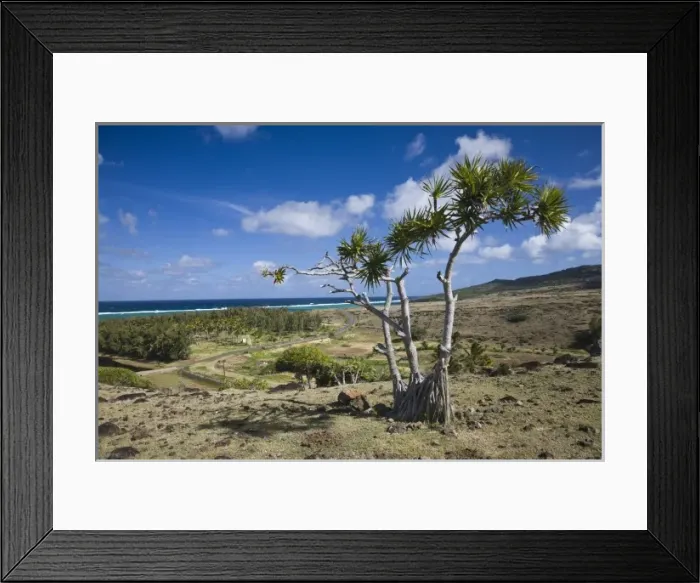Framed Print : Mauritius, Rodrigues Island, St. Francois, east coast landscape