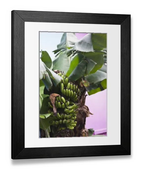 Framed Print : Africa, Mauritius Framed Print : Africa, Mauritius