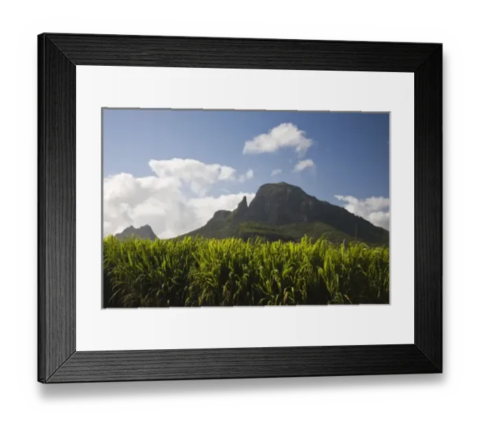 Framed Print : Mauritius, Western Mauritius, Beau Songes, Montagne du Rempart and sugar cane field
