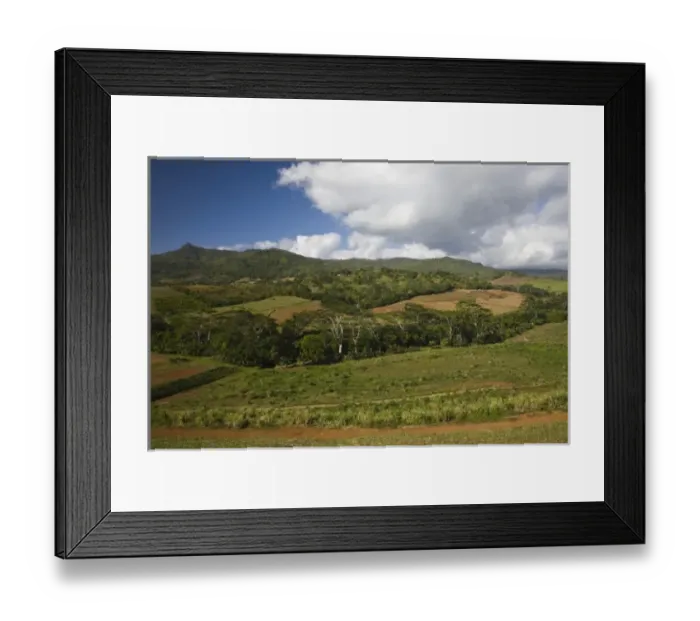 Framed Print : Mauritius, Western Mauritius, Chamarel, Chamarel farmland