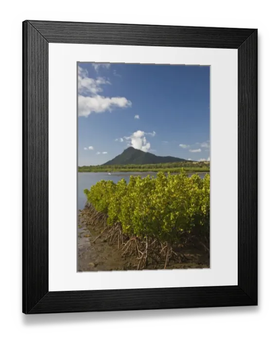 Framed Print : Mauritius, Western Mauritius, Petite Riviere Noir Bay