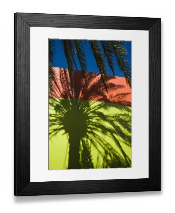 Framed Print : Mauritius, Western Mauritius, Tamarin, Palm Shadows, Tamarin Hotel