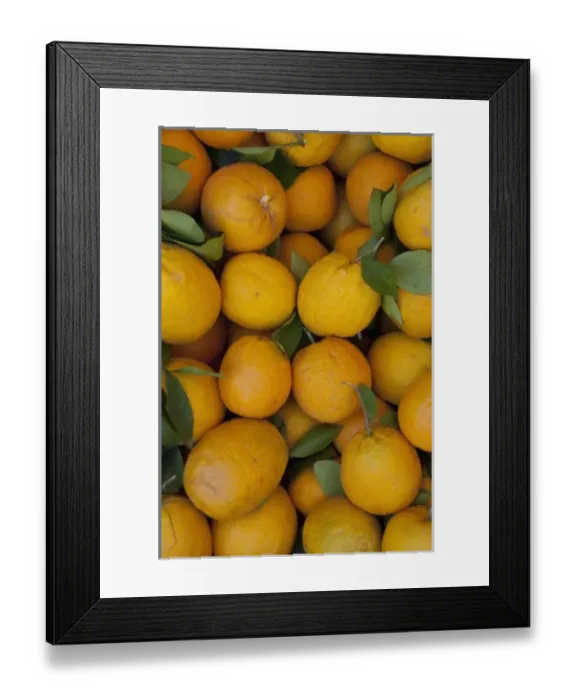 Framed Print : Africa, Morocco, Casablanca. Central Market (aka Olive Market), fresh local oranges Framed Print : Africa, Morocco, Casablanca. Central Market (aka Olive Market), fresh local oranges