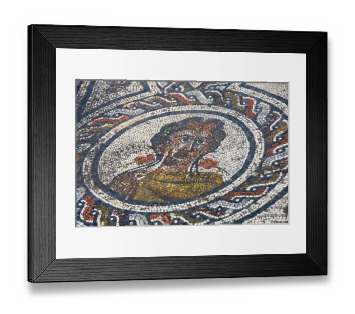 Framed Print : in Volubilis Morocco mosaic portrait in a circular design done during the Roman period Framed Print : in Volubilis Morocco mosaic portrait in a circular design done during the Roman period