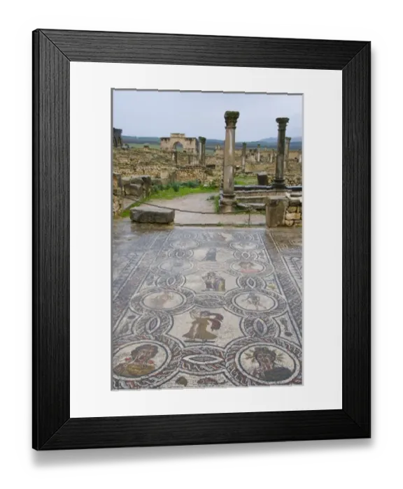Framed Print : Volubilis Morocco mosaic floor and building ruins from the Roman period