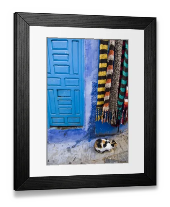 Framed Print : Chefchaouen Morocco calico cat against a blue door and hanging woolen scarves in Framed Print : Chefchaouen Morocco calico cat against a blue door and hanging woolen scarves in