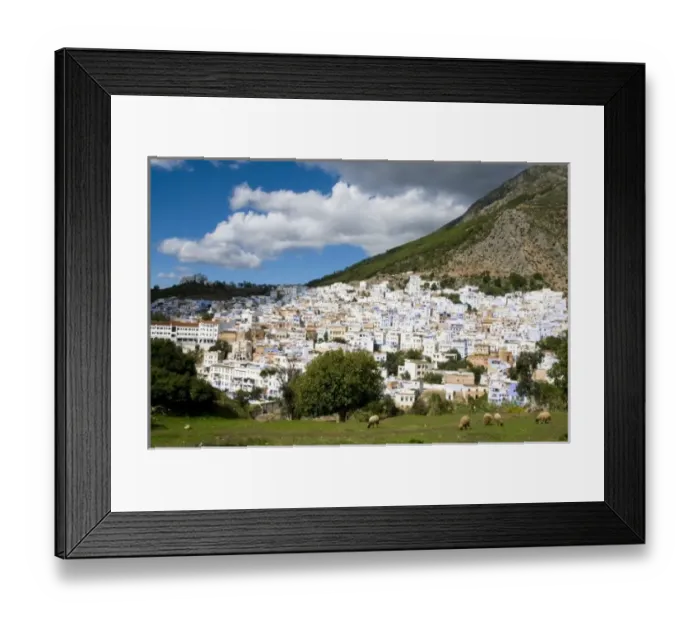 Framed Print : Chefchaouen Morocco panorama with sheep in the foreground Framed Print : Chefchaouen Morocco panorama with sheep in the foreground