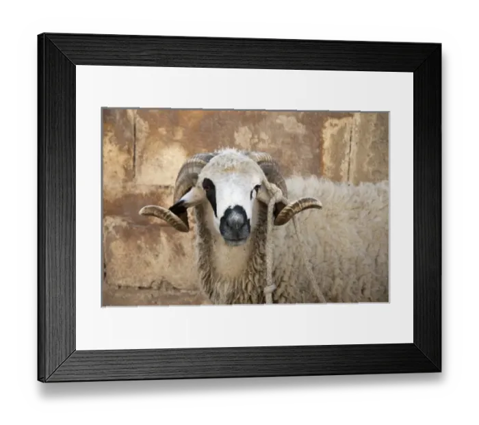 Framed Print : Africa, Morocco Framed Print : Africa, Morocco