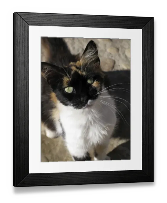 Framed Print : Africa, Morocco Framed Print : Africa, Morocco
