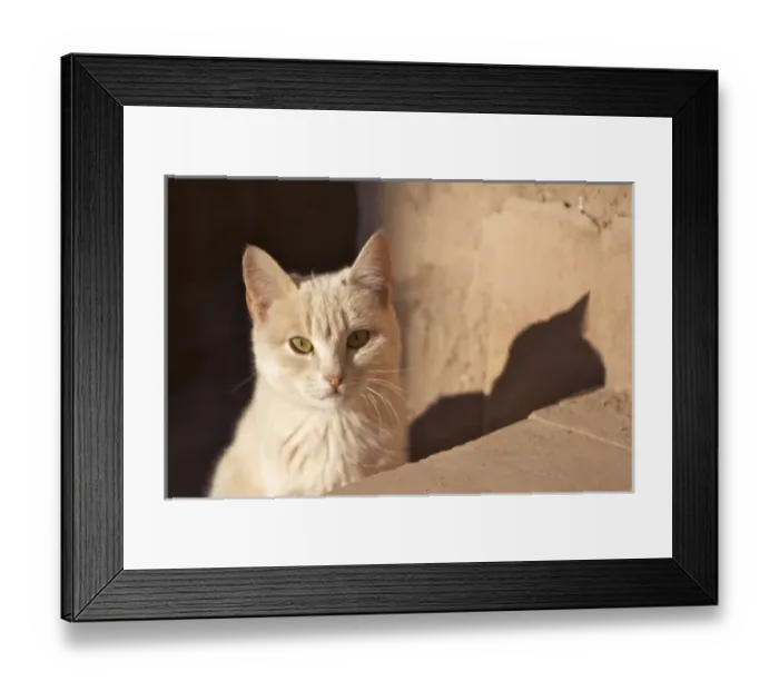 Framed Print : Africa, Morocco