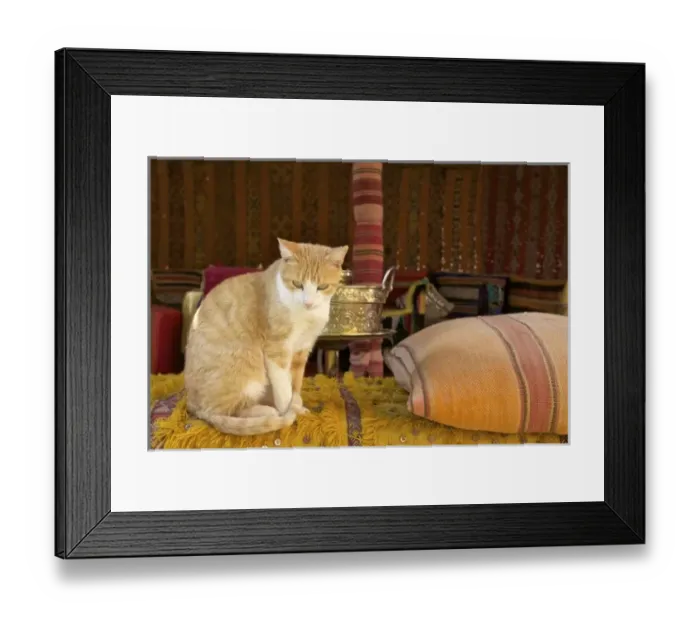 Framed Print : Africa, Morocco