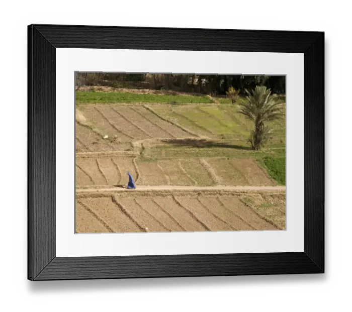 Framed Print : Africa, Morocco