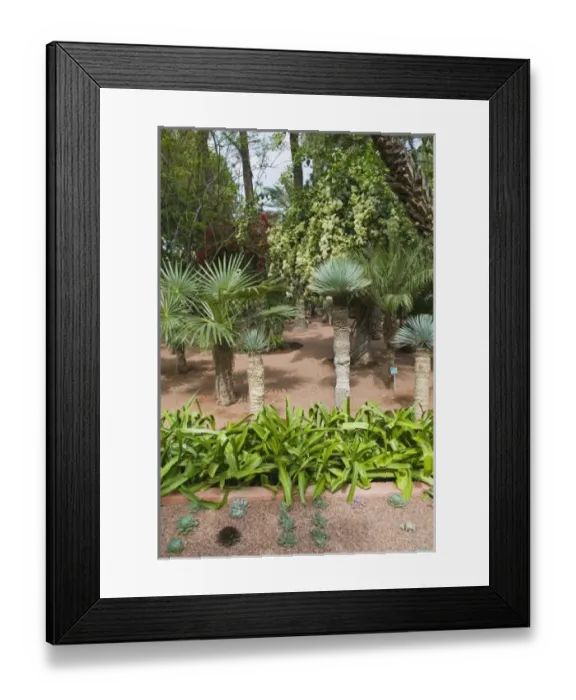 Framed Print : Africa, Morocco