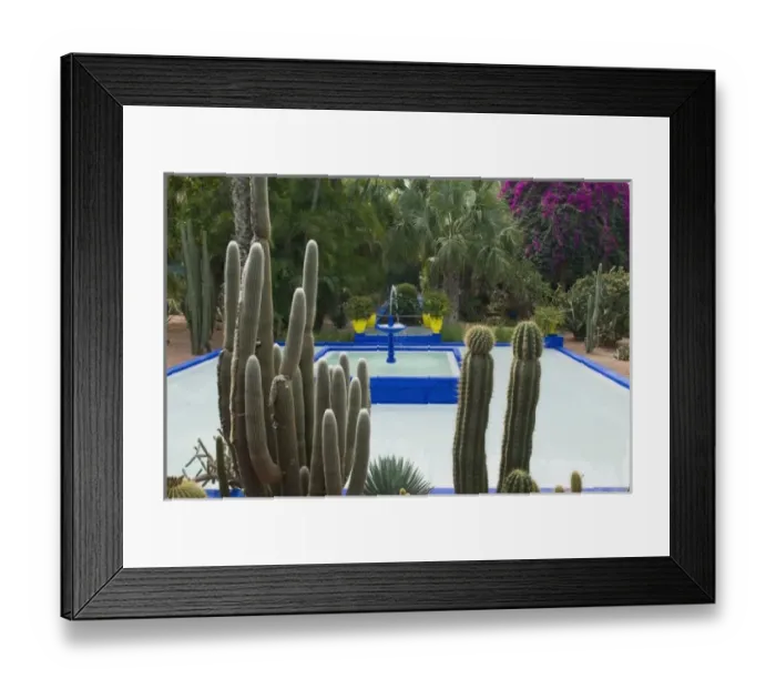 Framed Print : Jardin Majorelle, Marrakech, Morocco, North Africa, Africa