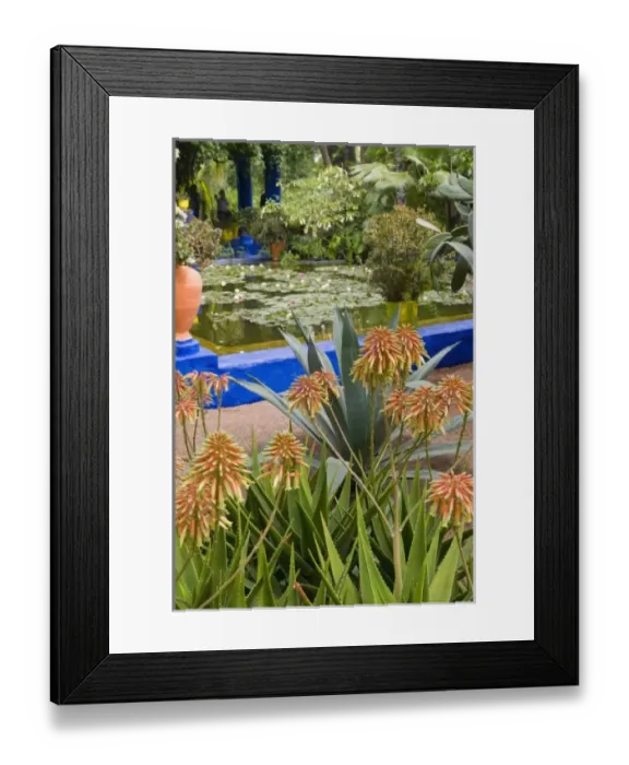 Framed Print : Africa, Morocco Framed Print : Africa, Morocco