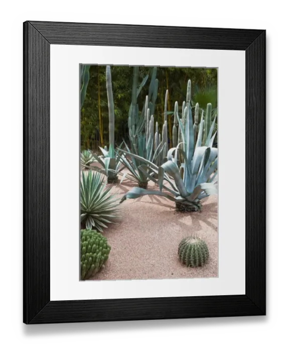 Framed Print : Africa, Morocco Framed Print : Africa, Morocco