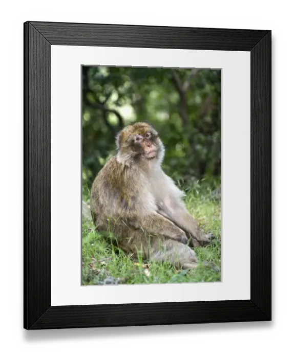 Framed Print : Africa, Morocco Framed Print : Africa, Morocco