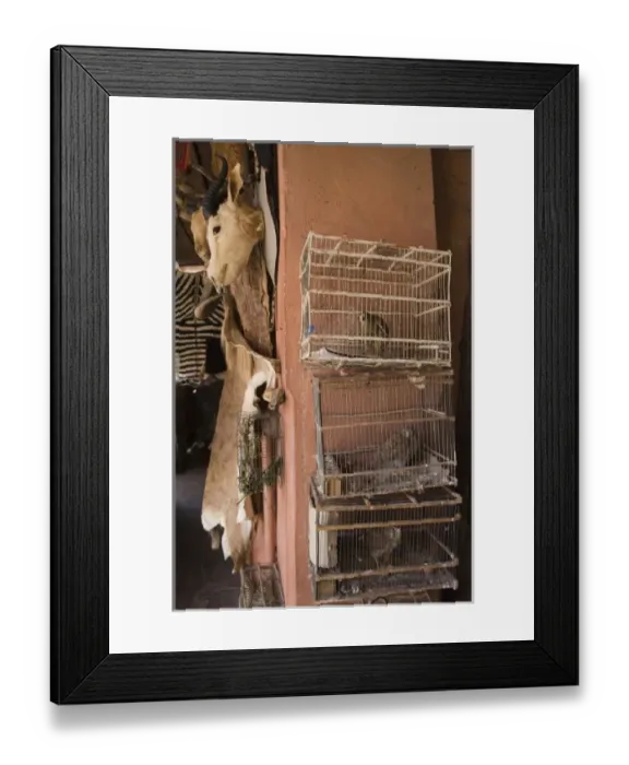 Framed Print : Medicine and fetish market. Djemaa el-Fna (the square), Marrakesh, Morocco Framed Print : Medicine and fetish market. Djemaa el-Fna (the square), Marrakesh, Morocco