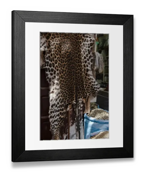 Framed Print : Medicine and fetish market. Djemaa el-Fna (the square), Marrakesh, Morocco Framed Print : Medicine and fetish market. Djemaa el-Fna (the square), Marrakesh, Morocco