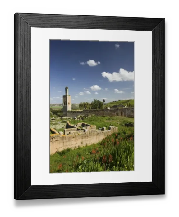 Framed Print : MOROCCO, Rabat: Chellah, Merenid Necropolis (13th cent. ) Minaret with Stork Nest Framed Print : MOROCCO, Rabat: Chellah, Merenid Necropolis (13th cent. ) Minaret with Stork Nest