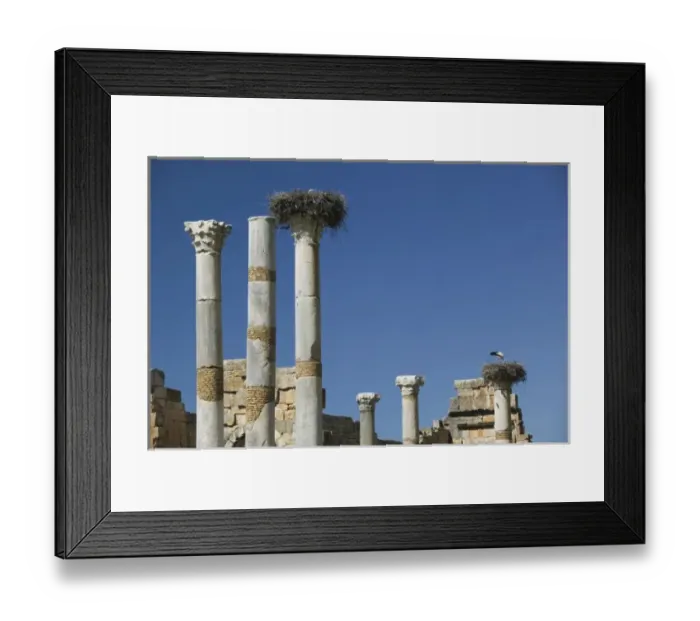 Framed Print : MOROCCO, Volubilis: Roman Town mostly dating to 2nd & 3rd c. AD / Abandoned by Romans Framed Print : MOROCCO, Volubilis: Roman Town mostly dating to 2nd & 3rd c. AD / Abandoned by Romans