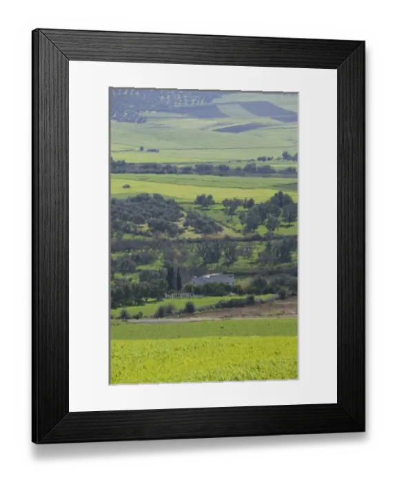 Framed Print : Africa, Morocco Framed Print : Africa, Morocco