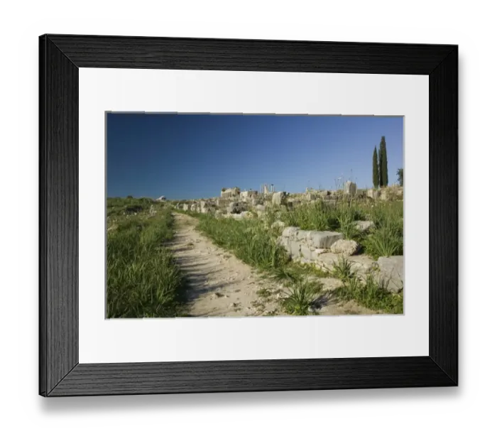 Framed Print : MOROCCO, Volubilis: Roman Town mostly dating to 2nd & 3rd c. AD / Abandoned by Romans Framed Print : MOROCCO, Volubilis: Roman Town mostly dating to 2nd & 3rd c. AD / Abandoned by Romans