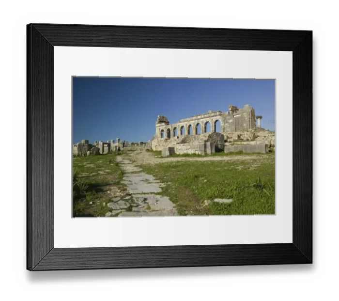Framed Print : MOROCCO, Volubilis: Roman Town mostly dating to 2nd & 3rd c. AD / Abandoned by Romans Framed Print : MOROCCO, Volubilis: Roman Town mostly dating to 2nd & 3rd c. AD / Abandoned by Romans