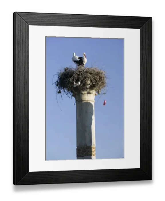 Framed Print : MOROCCO, Volubilis: Roman Town mostly dating to 2nd & 3rd c. AD / Abandoned by Romans Framed Print : MOROCCO, Volubilis: Roman Town mostly dating to 2nd & 3rd c. AD / Abandoned by Romans