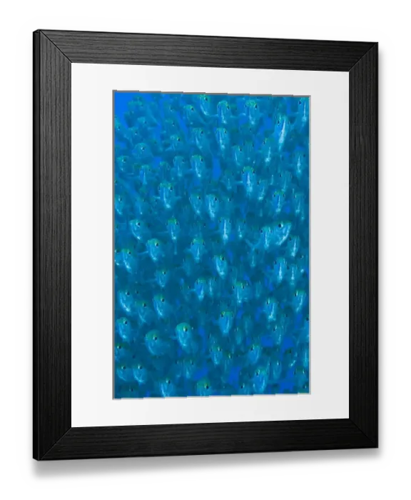 Framed Print : Indonesia, Raja Ampat. Front view of schooling ox-eyed scad fish Framed Print : Indonesia, Raja Ampat. Front view of schooling ox-eyed scad fish