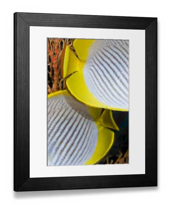Framed Print : Asia, Indonesia Framed Print : Asia, Indonesia