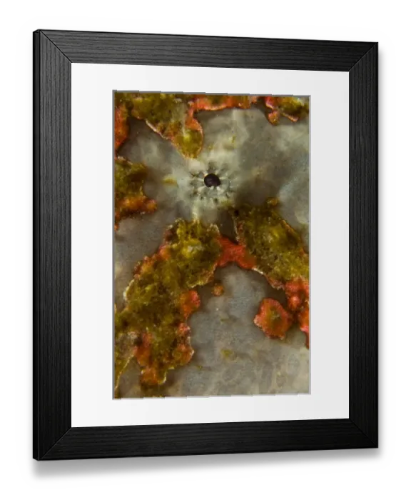 Framed Print : Indonesia, Sulawesi Island, Lembeh Strait. Close-up of frogfish eye Framed Print : Indonesia, Sulawesi Island, Lembeh Strait. Close-up of frogfish eye